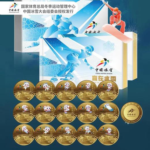 中国冰雪运动项目镀金纪念章大全套（共15枚） 商品图5