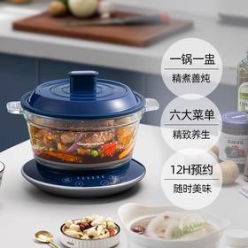 摩飞养生锅家用多功能陶瓷隔水电炖锅燕窝电炖盅煮粥煲汤