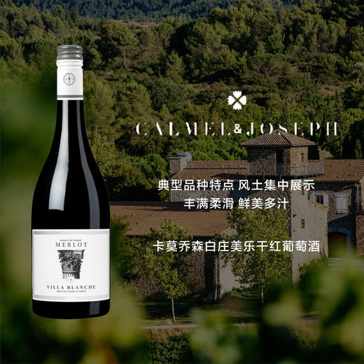 南法新星 卡莫乔森白庄美乐干红葡萄酒 2019 Calmel & Joseph  Villa Blanche Merlot 商品图0