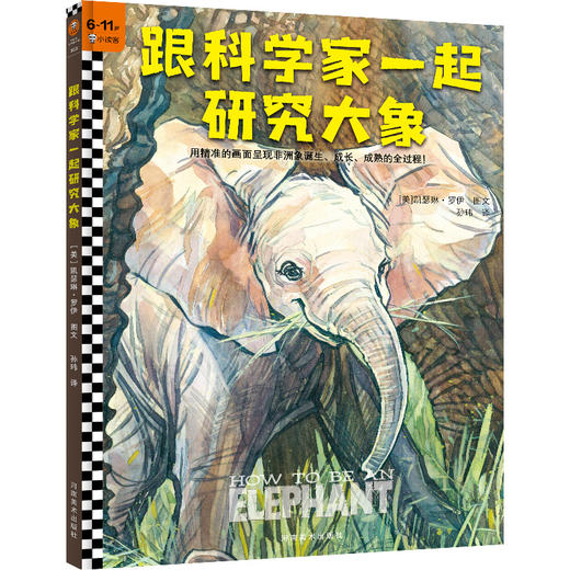 跟科学家一起研究大象+跟科学家一起研究鲨鱼（全2册）6岁+ 跟科学家一起研究动物 商品图1