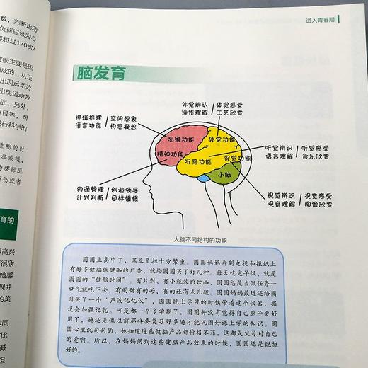 读懂孩子 心理学家实用教子宝典(12-18岁) 心理学家告诉你有效家教方法 育儿畅销书籍 商品图2
