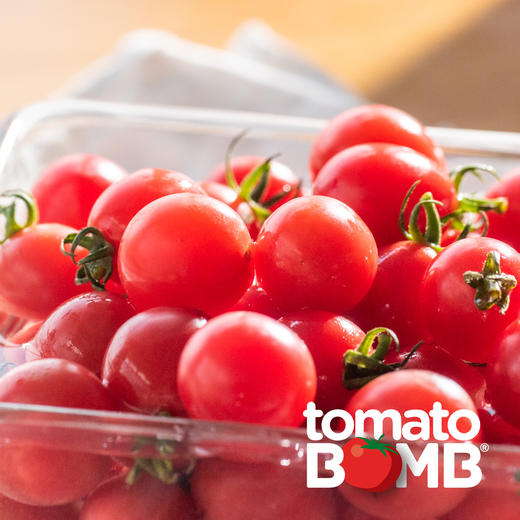 阳光沙地千禧小番茄  广东电白产 顺丰快递 商品图0