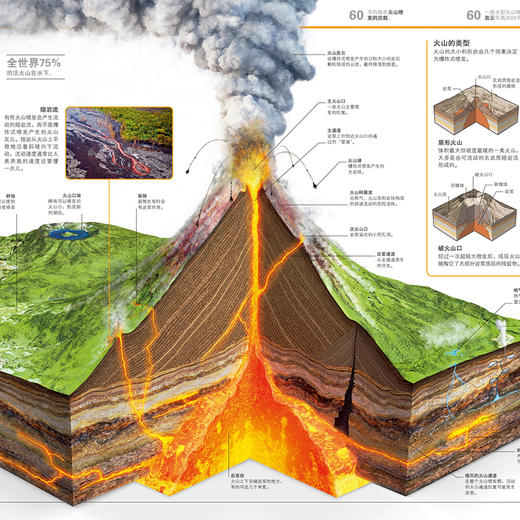 ★《DK万物大百科》+《DK知识大百科》| 1.5W高清彩色插图、百科界“标杆” 、专家学者团队严格把关 、 拓宽加深认知 #优选 商品图3