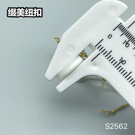 S2562(整包购买) 商品图6