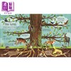 【中商原版】DK The Magic and Mystery of Trees 皇家园艺学会 树的秘密 英文原版进口儿童知识绘本 森林大自然生物科普图画书 商品缩略图3