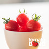 阳光沙地千禧小番茄  广东电白产 顺丰快递 商品缩略图9