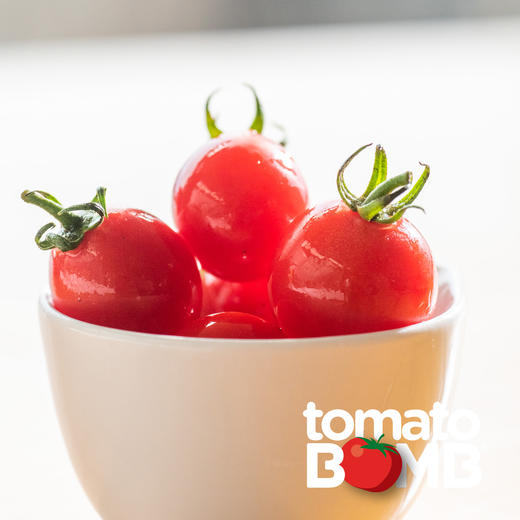 阳光沙地千禧小番茄  广东电白产 顺丰快递 商品图9