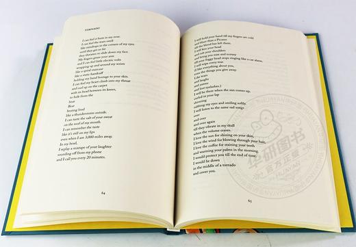 如果可以我会离开自己 海尔希诗集 英文原版 I Would Leave Me If I Could 英文版进口原版英语书籍 商品图1