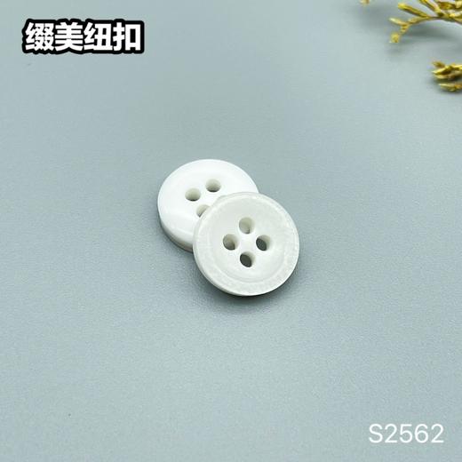 S2562(整包购买) 商品图1