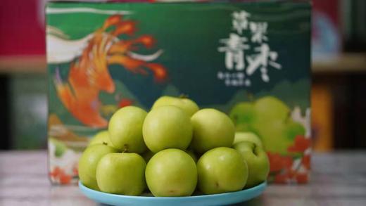 海南苹果枣 有独特椰香味 个大 霜白 脆香甜 果肉细腻 |百里食 商品图4