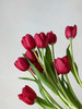 活动郁金香 商品缩略图2