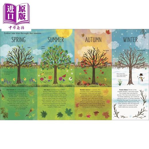 【中商原版】DK The Magic and Mystery of Trees 皇家园艺学会 树的秘密 英文原版进口儿童知识绘本 森林大自然生物科普图画书 商品图2