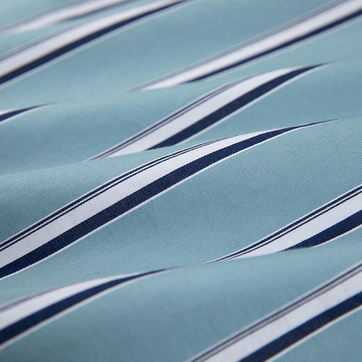 GOOD LUCK/德鲨100%棉雅致蓝白条纹时尚百搭长袖衬衫BY21309-842 商品图6