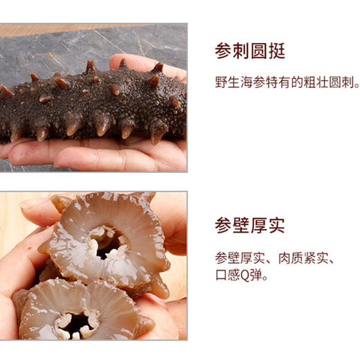 韩国 野生海参 淡干海参 一级品质礼品套装 送礼佳品 商品图3