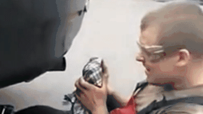 如果有人违停，千万不要用钢丝球塞人家的排气管，提醒一下就好了