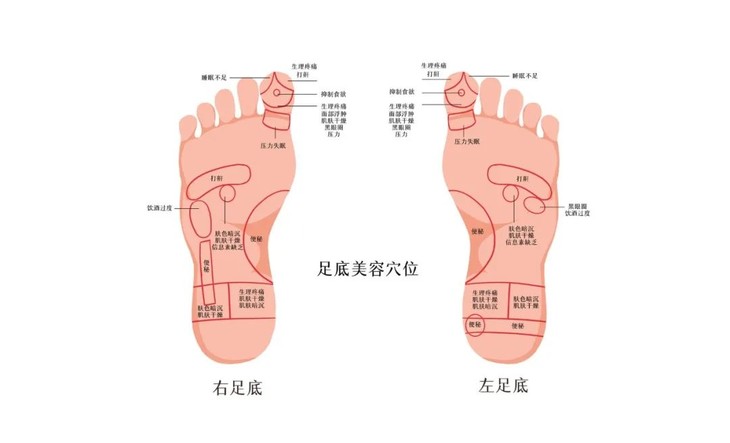摄图网_401803305_banner_足底美容穴位图（企业商用）.jpg