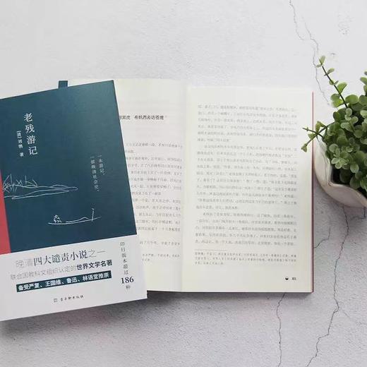 《明清文学雅读系列典藏版》12册，万般滋味，皆是生活。赠送精美铜制书签1枚 商品图4