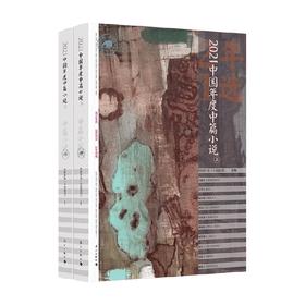 2021中国年度中篇小说 中国作协 小说选刊 编 小说