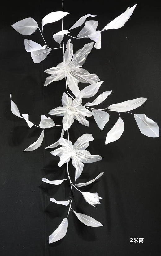 梦幻藤（运费自理） 商品图2