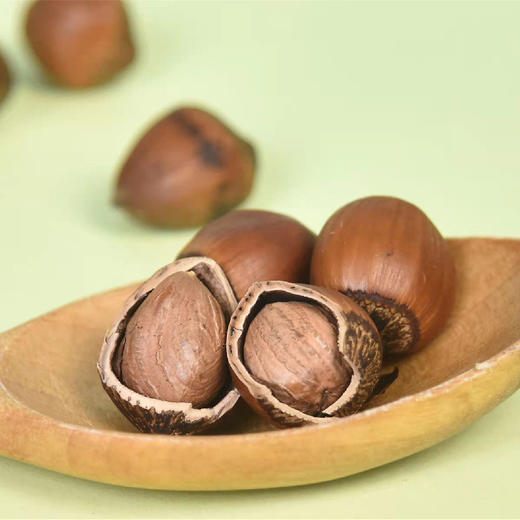 【25年新榛子】自然农法带壳熟榛子 我自然坚果大榛子 500g/袋 商品图3