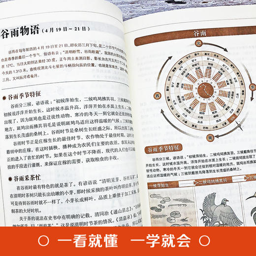 【9.9元包邮】黄帝内经四季养生全书营养师书籍血糖控制一本就够食疗书籍 商品图2