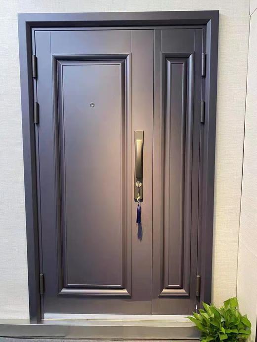 入户门防盗门子母门现代简约风 包安装【LY】 商品图1