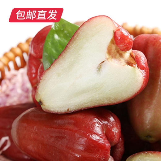 海南黑金刚莲雾 1.5kg(特级-单果100g以上)（产地直发） 商品图2