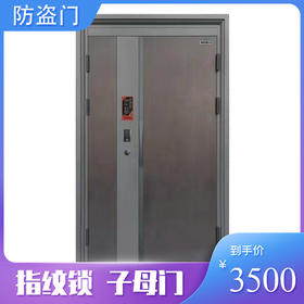 甲级防盗门家用入户门指纹锁 包安装【LY】