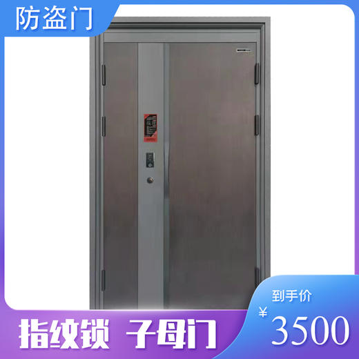 甲级防盗门家用入户门指纹锁 包安装【LY】 商品图0