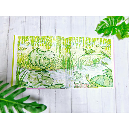 小白兔 商品图3