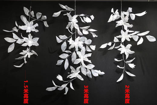 梦幻藤（运费自理） 商品图0