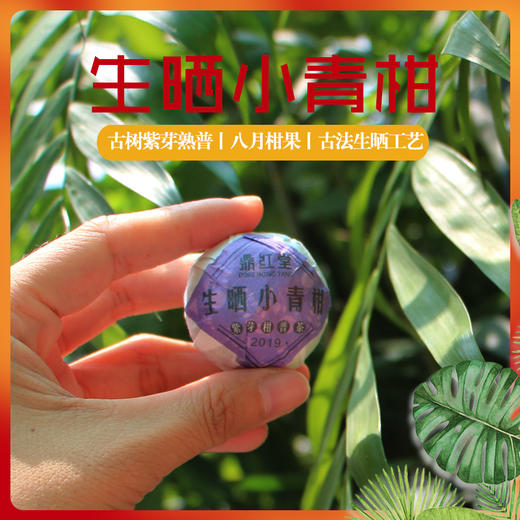 2019紫芽生晒小青柑 180*2罐 商品图2