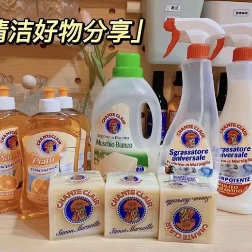 一般贸易~意大利大公鸡管家家居清洁系列【洗衣液➕去污清洗剂➕洗洁精➕袖口清洁剂 还有管家三件套/四件套】一套统统搞定 居家必备 商品图0