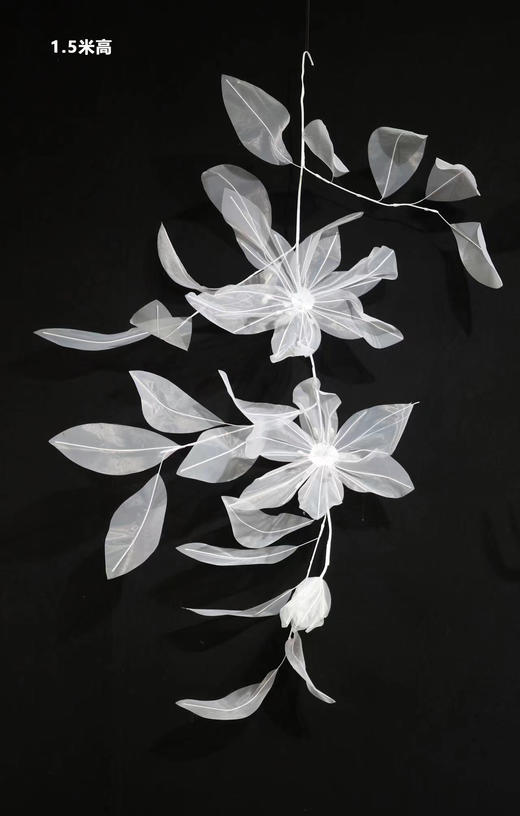 梦幻藤（运费自理） 商品图1