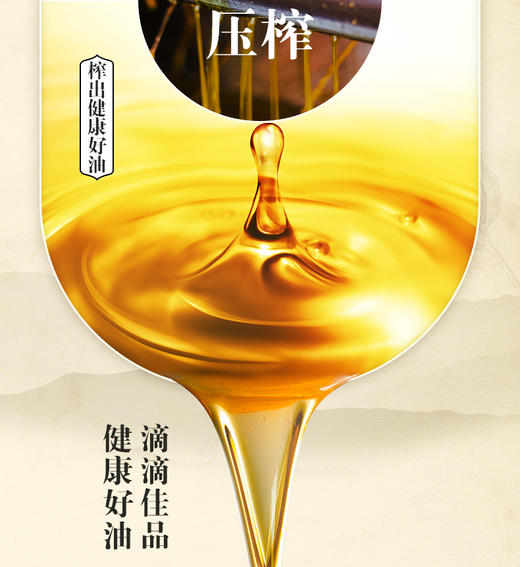 【黔味风行】金龙鱼压榨本香菜籽油5L /桶非转基因 商品图4