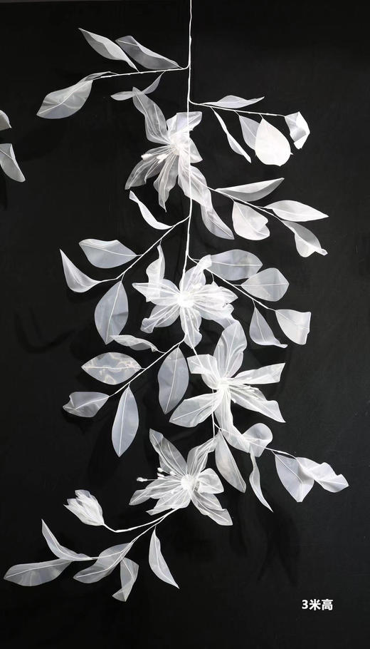 梦幻藤（运费自理） 商品图3