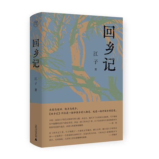 回乡记 江子/著 第八届鲁迅文学奖获奖作品  故乡 他乡 乡土中国 散文集 广西师范大学出版社 商品图0