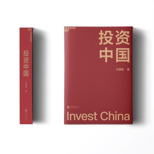 投资中国 泉果基金、君和资本联合、东方红资产管理创始人 王国斌首部力作 中国资本市场的形势和未来 金融投资管理 商品图3