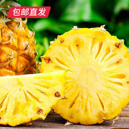 海南金钻凤梨 2-3个装(2.25kg以上)（产地直发） 商品图0