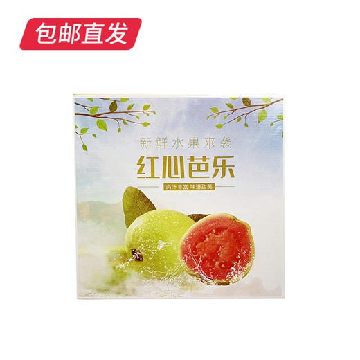 福建树上熟红心芭乐 1.5kg礼盒装 （产地直发） 商品图4