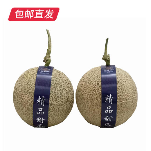 海南网纹蜜瓜 2个装(2.25kg以上)（产地直发） 商品图2