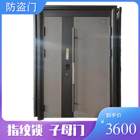 甲级防盗门现代双开子母门带密码锁 包安装【LY】