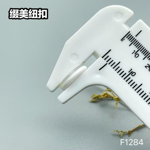 F1284(整包购买) 商品图8