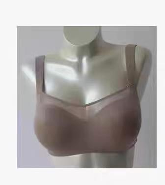 安莉芳文胸 商品图1