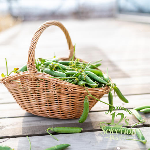 云南鲜嫩甜豌豆 纸箱直装 韵达圆通中通随机 商品图5