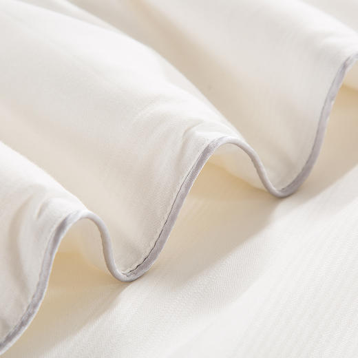 【梦兰厅】B7F丨馨雅提花桑蚕丝春秋被（100%桑蚕丝） 商品图2