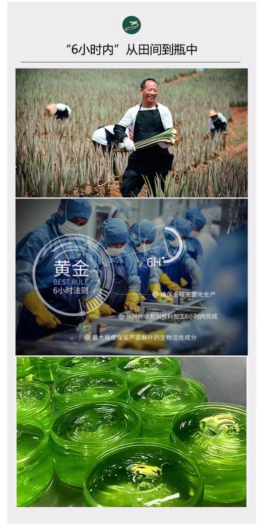 【芦荟胶】好体面芦荟胶晒后身体深层修复补水保湿男女面霜面膜 护肤 商品图5