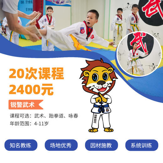 武术、跆拳道、咏春20次课程卡 商品图0