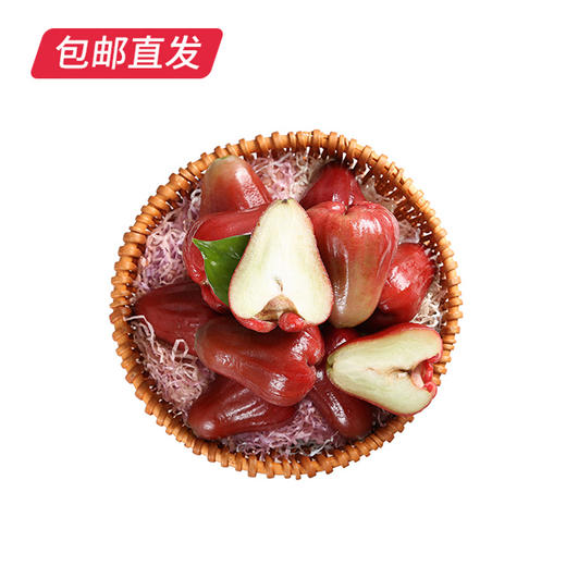 海南黑金刚莲雾 1.5kg(特级-单果100g以上)（产地直发） 商品图3