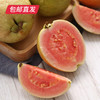 福建树上熟红心芭乐 1.5kg礼盒装 （产地直发） 商品缩略图1